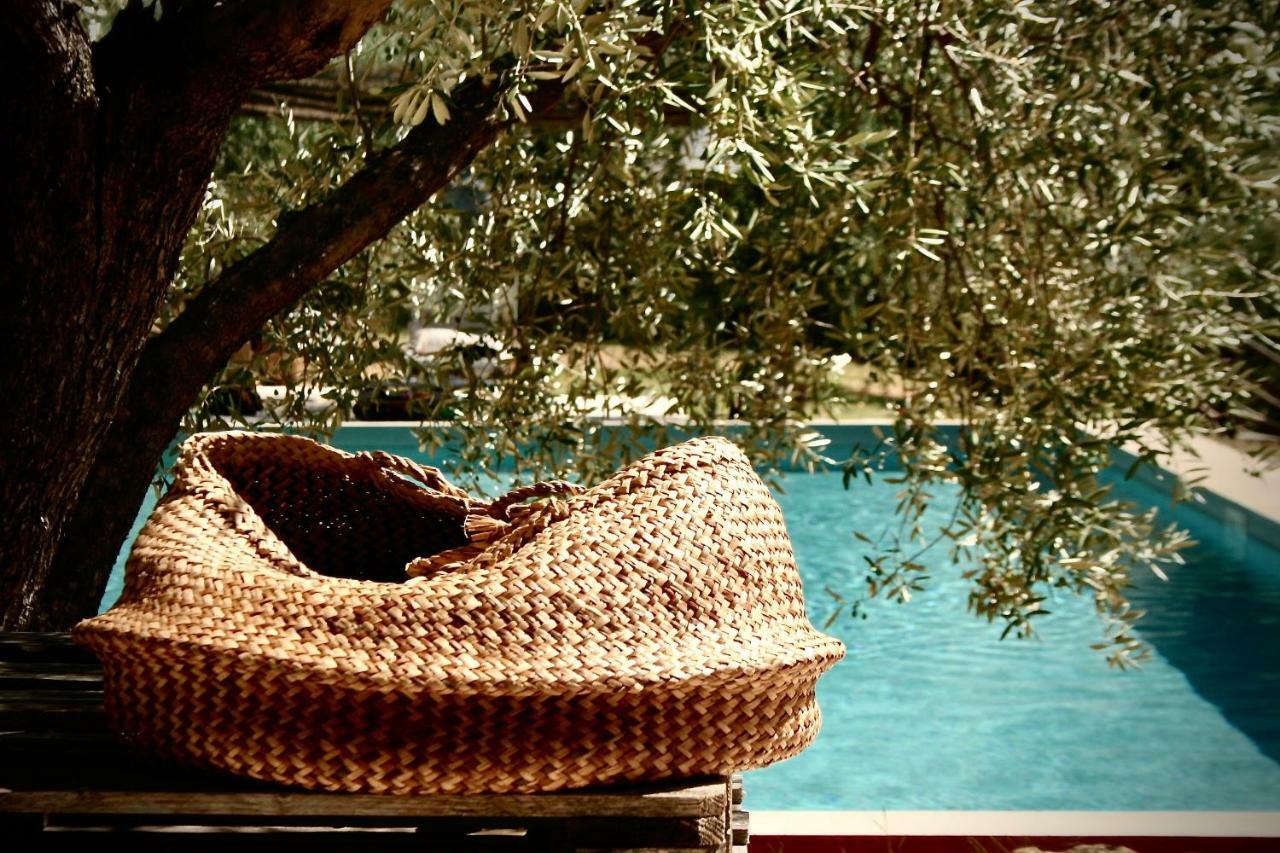Settignano Tuscany Homes Extérieur photo