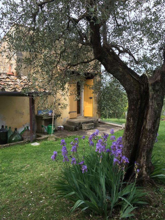 Settignano Tuscany Homes Extérieur photo